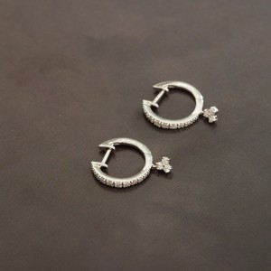 DER95 برايس (حلق الماس)
