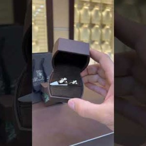 RN495 خاتم روشيل "احجام متعددة"