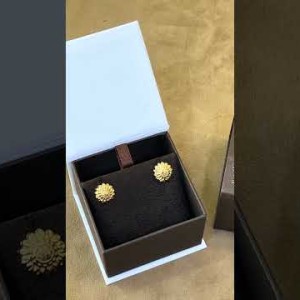 ER729 حلق الأصيل (شمس)